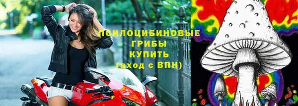 круглые Козловка