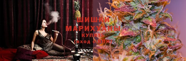 прущие грибы Новочеркасск