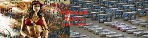 spice Кодинск
