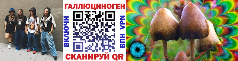 как найти закладки  Называевск  Галлюциногенные грибы мицелий 